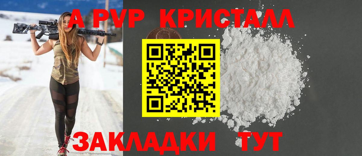 Alfa_PVP крисы CK  A PVP СК КРИС  Вход с VPN  Майкоп 