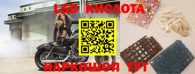 ПСИЛОЦИБИНОВЫЕ ГРИБЫ Будённовск