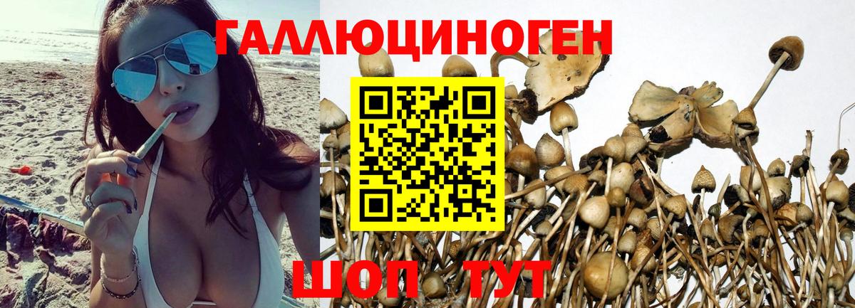 Галлюциногенные грибы мухоморы  Вход с VPN  Майкоп 