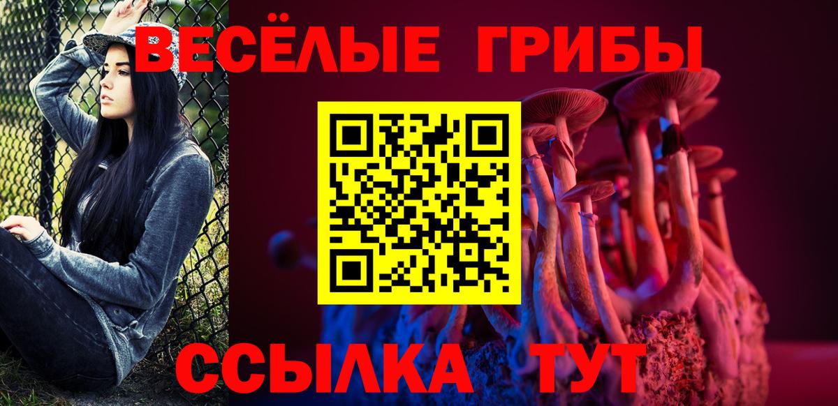 Галлюциногенные грибы Psilocybine cubensis Майкоп
